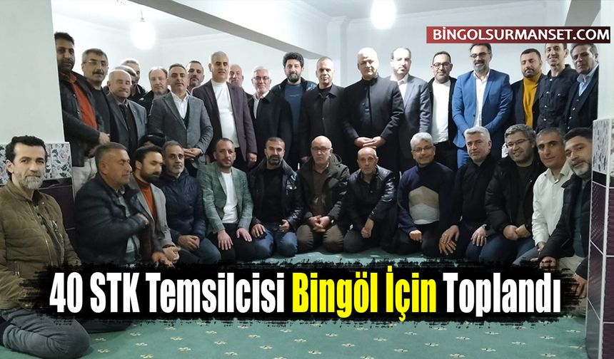 40 STK Temsilcisi Bingöl İçin Toplandı