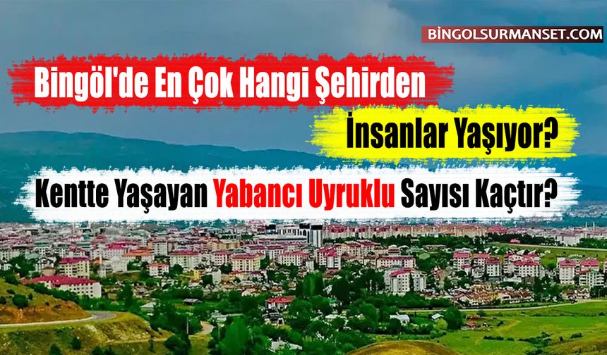 Bingöl'de En Çok Hangi Şehirden İnsanlar Yaşıyor?