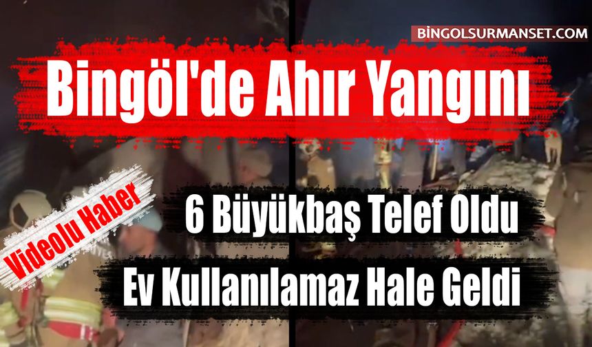 Bingöl'de Ahır Yangını: 6 Büyükbaş Telef Oldu, Ev Kullanılamaz Hale Geldi