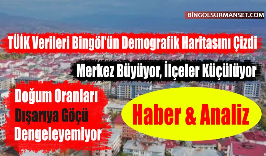 TÜİK Verileri Bingöl'ün Demografik Haritasını Çizdi