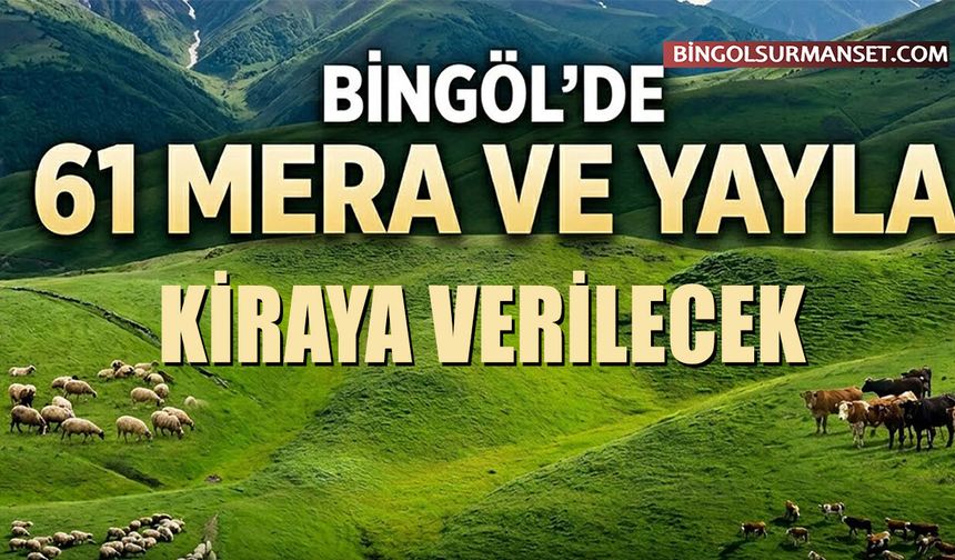 Bingöl'de 2026 Yılı İçin 61 Mera ve Yayla Kiraya Verilecek