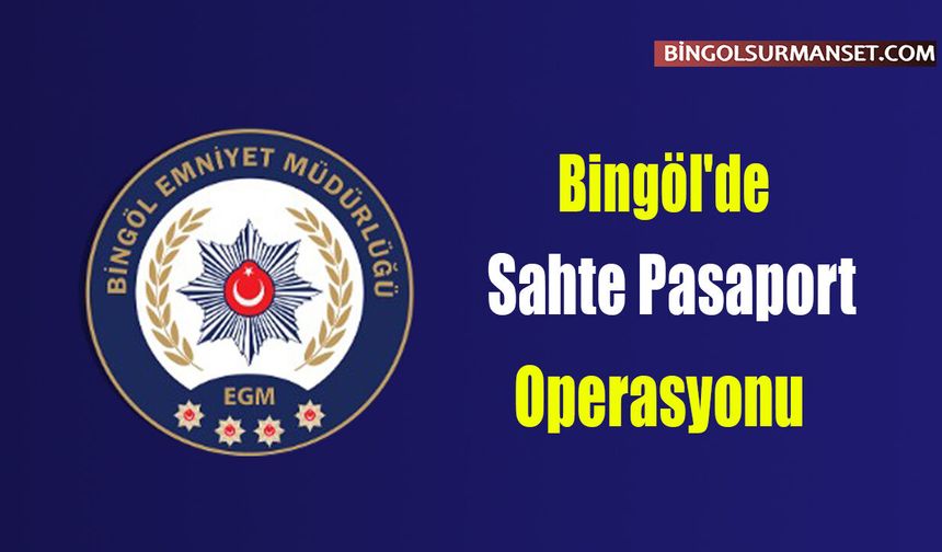 Bingöl'de Sahte Pasaport Operasyonu