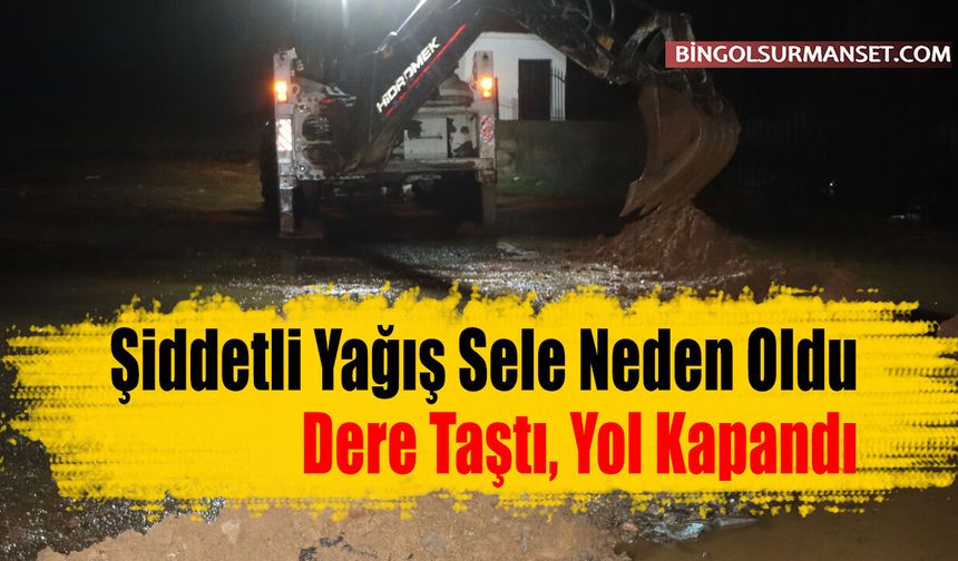 Şiddetli Yağış Sele Neden Oldu: Dere Taştı, Yol Kapandı