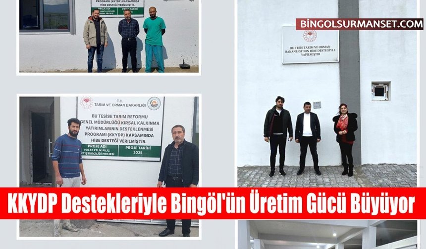KKYDP Destekleriyle Bingöl'ün Üretim Gücü Büyüyor