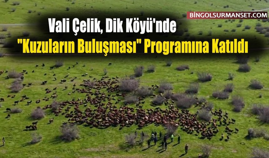 Vali Çelik, Dik Köyü'nde "Kuzuların Buluşması" Programına Katıldı