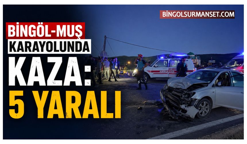 Bingöl-Muş Karayolunda Kaza: 5 Yaralı