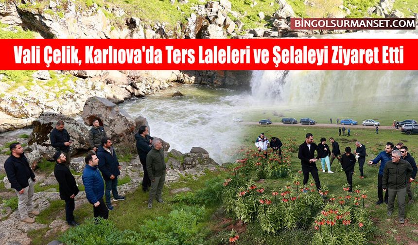 Vali Çelik, Karlıova'da Ters Laleleri ve Şelaleyi Ziyaret Etti