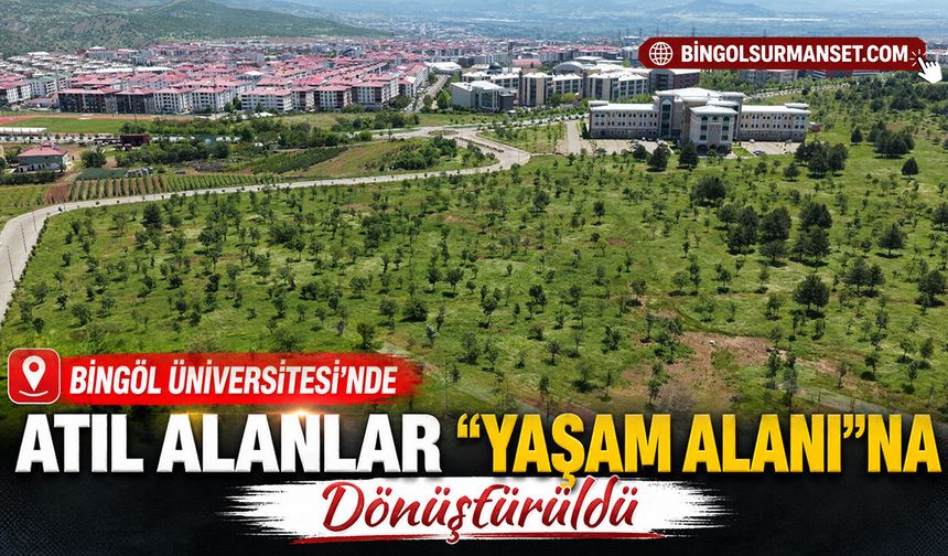 Bingöl Üniversitesi'nde Atıl Alanlar "Yaşam Alanı"na Dönüştürüldü