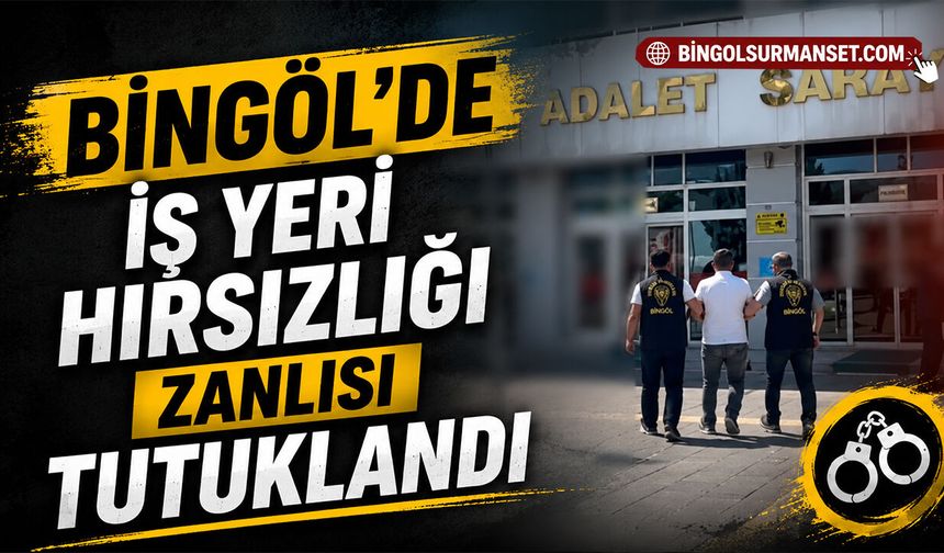 Bingöl’de İş Yeri Hırsızlığı Zanlısı Tutuklandı