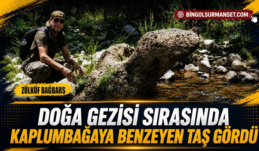 Doğa Gezisi Sırasında Kaplumbağaya Benzeyen Taş Gördü