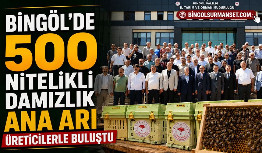 Bingöl’de 500 Nitelikli Damızlık Ana Arı Üreticilerle Buluştu