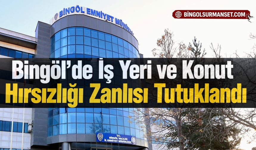 Bingöl’de İş Yeri ve Konut Hırsızlığı Zanlısı Tutuklandı