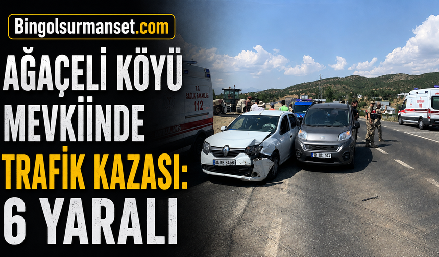 Ağaçeli Köyü Mevkiinde Trafik Kazası: 6 Yaralı