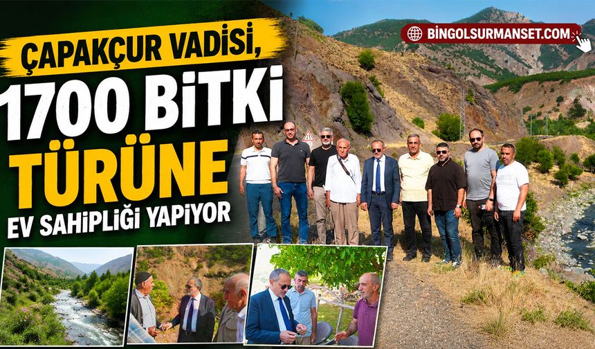 Çapakçur Vadisi, 1700 Bitki Türüne Ev Sahipliği Yapıyor
