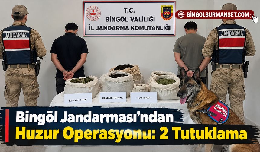 Bingöl Jandarması’ndan Huzur Operasyonu: 2 Tutuklama