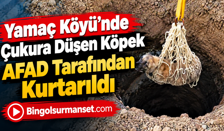 Yamaç Köyü’nde Çukura Düşen Köpek AFAD Tarafından Kurtarıldı