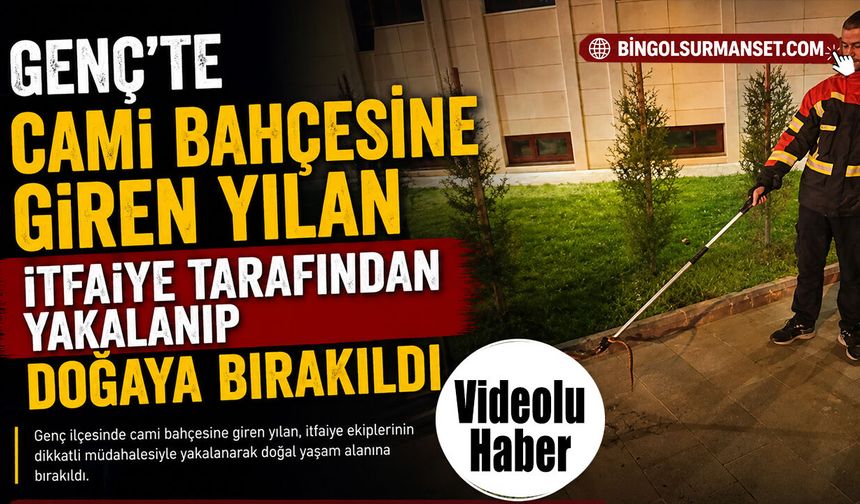 Cami Bahçesine Giren Yılan Yakalanıp Doğaya Bırakıldı