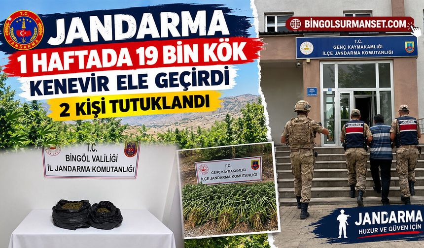 Jandarma 1 Haftada 19 Bin Kök Kenevir Ele Geçirdi, 2 Kişi Tutuklandı