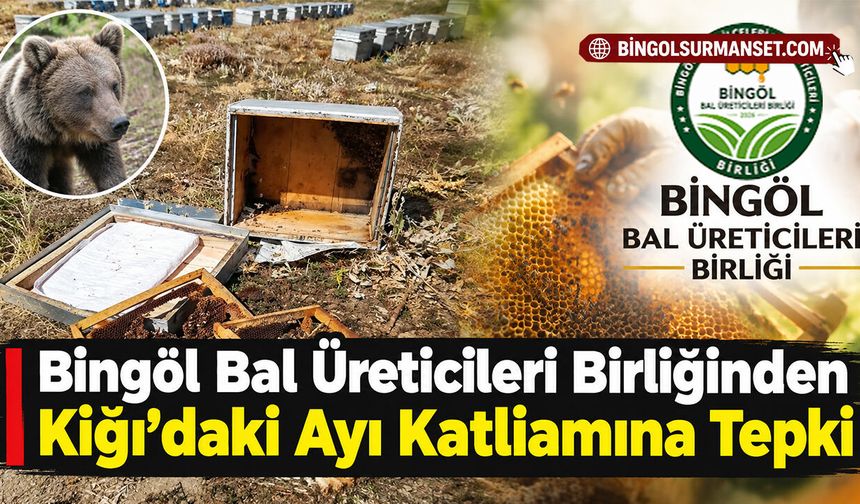 Bingöl Bal Üreticileri Birliğinden Kiğı'daki Ayı Katliamına Tepki
