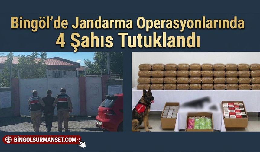 Bingöl'de Jandarma Operasyonlarında 4 Şahıs Tutuklandı