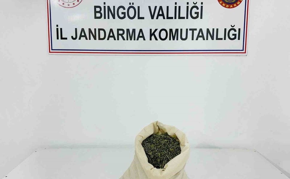 Bingöl’de aranan 2 şahıs yakalandı