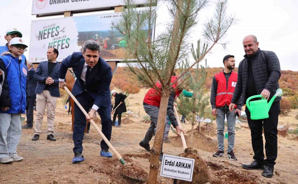 Bingöl’de binlerce fidan, toprak ile buluştu