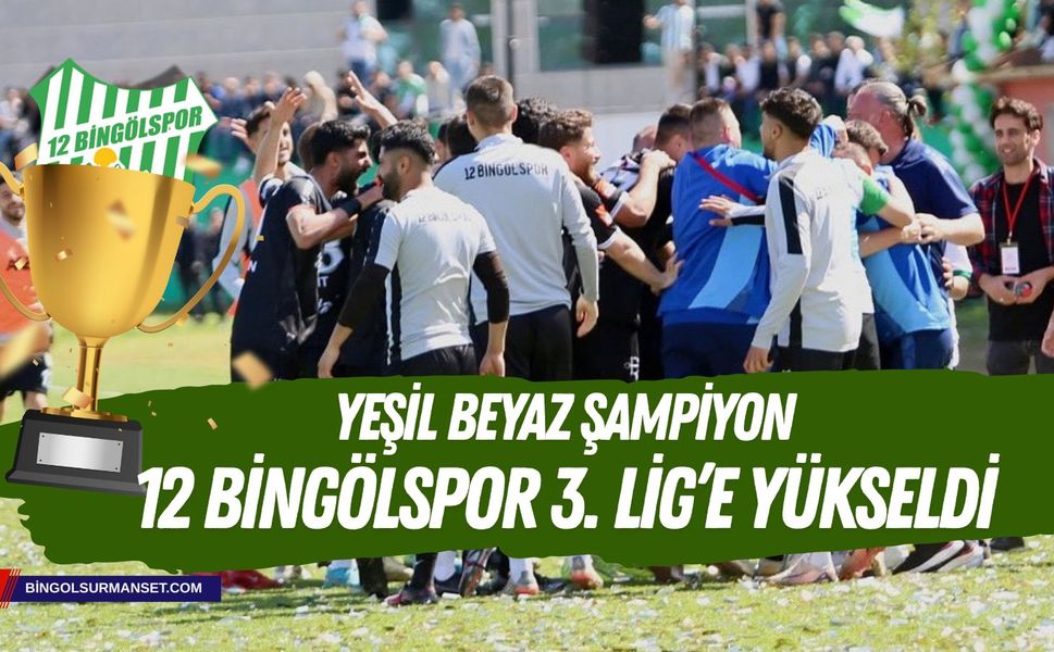 7 Yıllık Hasret Bitti: 12 Bingölspor 3. Lig'de!