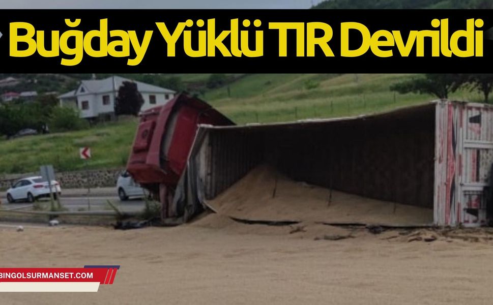 Bingöl’de Buğday Yüklü TIR Devrildi