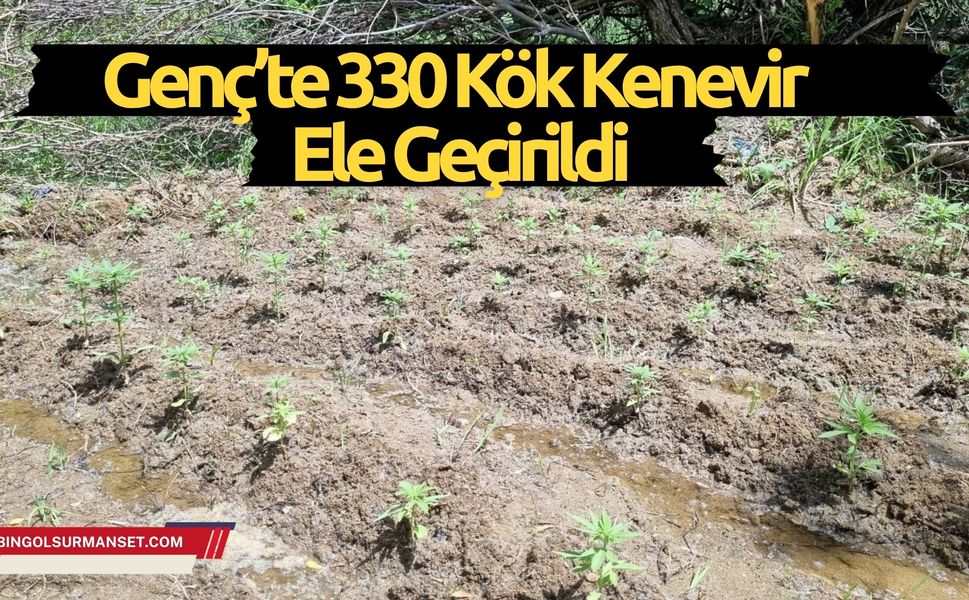 Genç’te 330 Kök Kenevir Ele Geçirildi