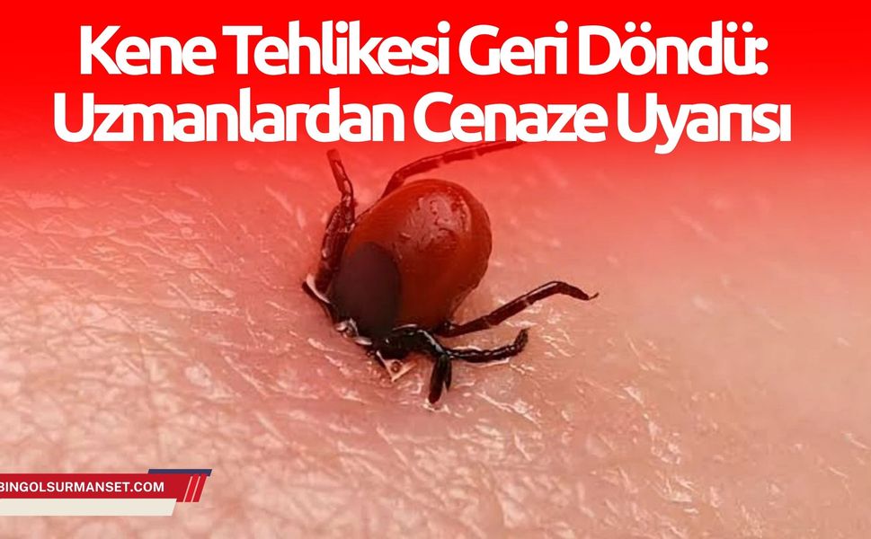 Kene Tehlikesi Geri Döndü: Uzmanlardan Cenaze Uyarısı