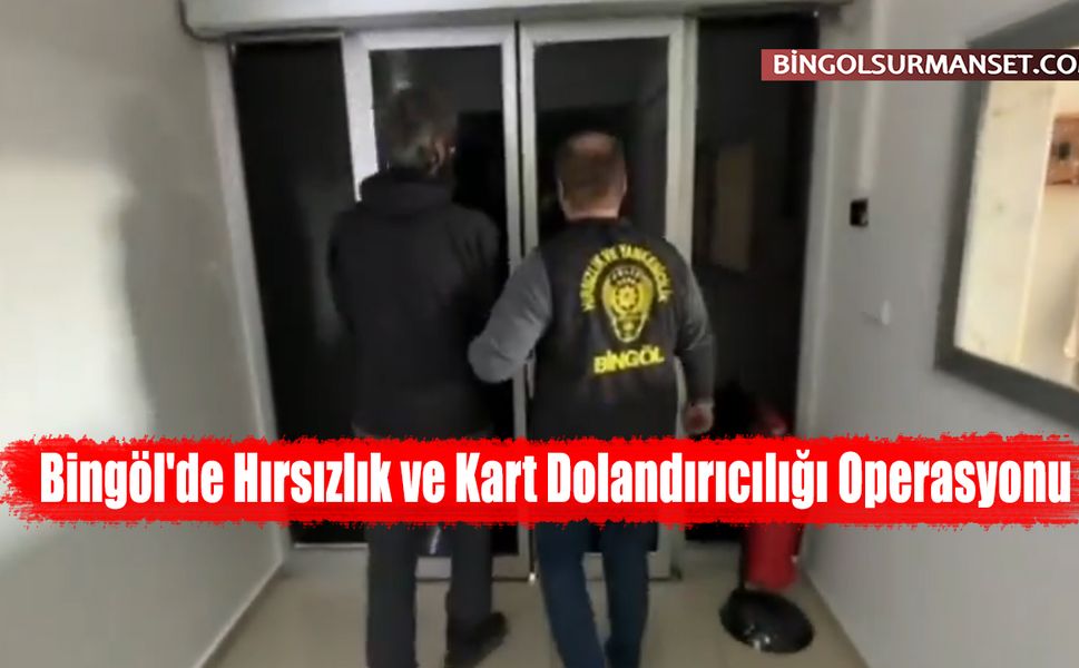 Bingöl'de Hırsızlık ve Kart Dolandırıcılığı Operasyonu