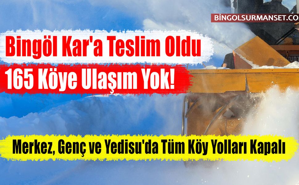 Bingöl Kar'a Teslim Oldu: 165 Köye Ulaşım Yok!
