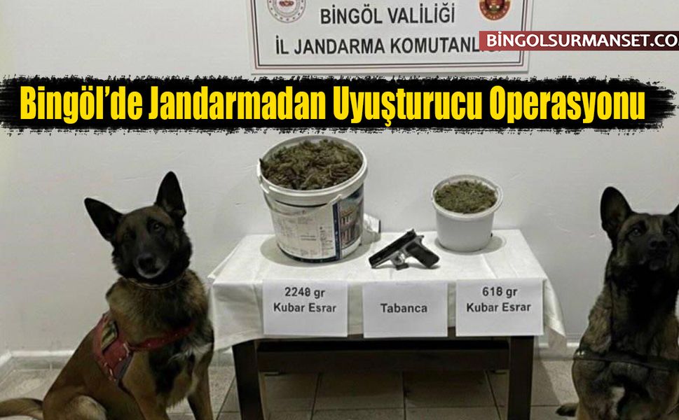 Bingöl’de Jandarmadan Uyuşturucu Operasyonu