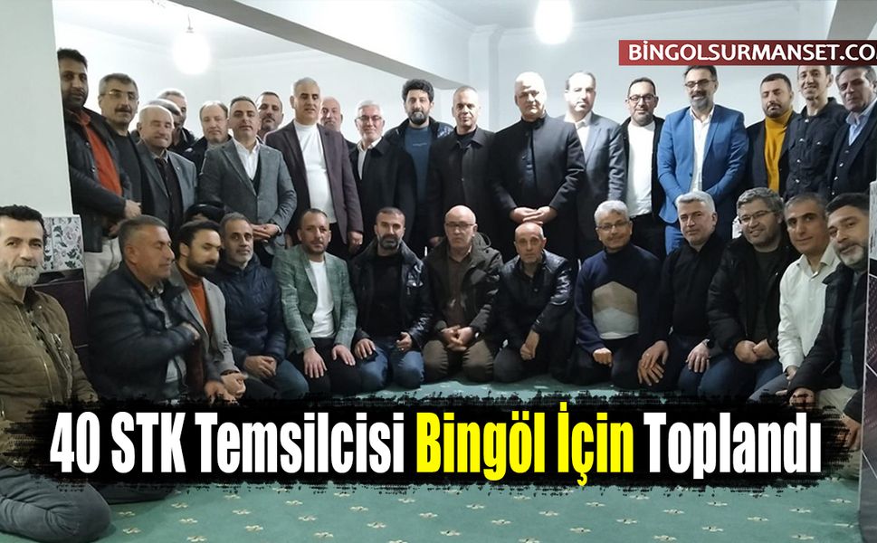 40 STK Temsilcisi Bingöl İçin Toplandı