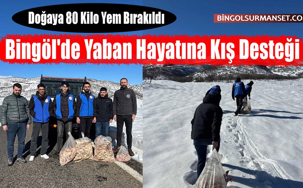 Yaban Hayatına Kış Desteği: Doğaya 80 Kilo Yem Bırakıldı