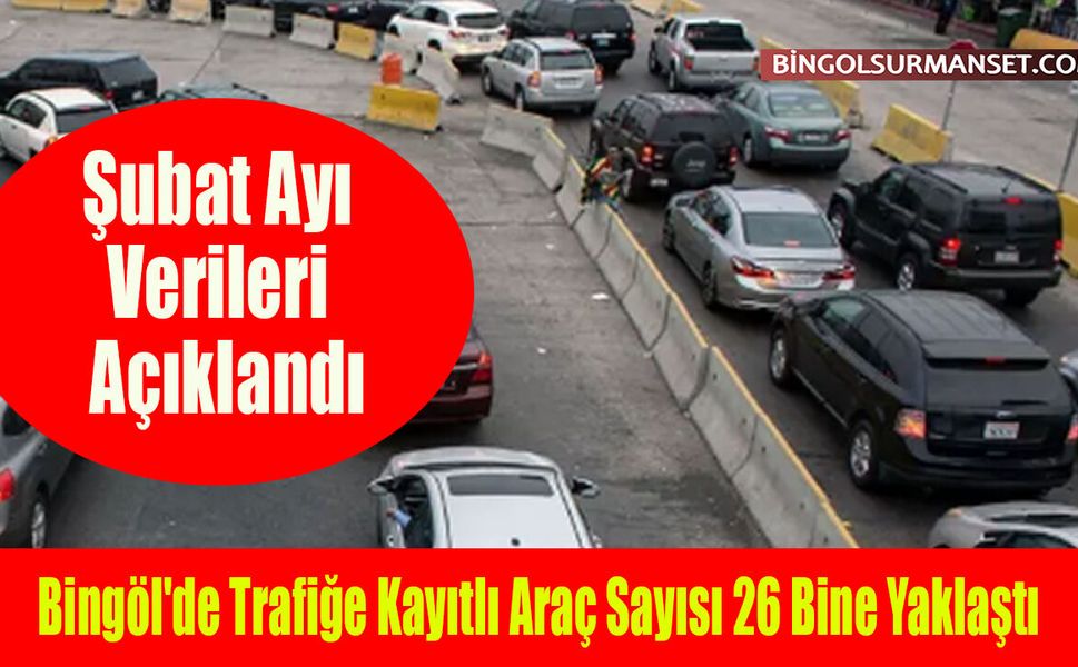 TÜİK Açıkladı: Bingöl'de Trafiğe Kayıtlı Araç Sayısı 26 Bine Yaklaştı