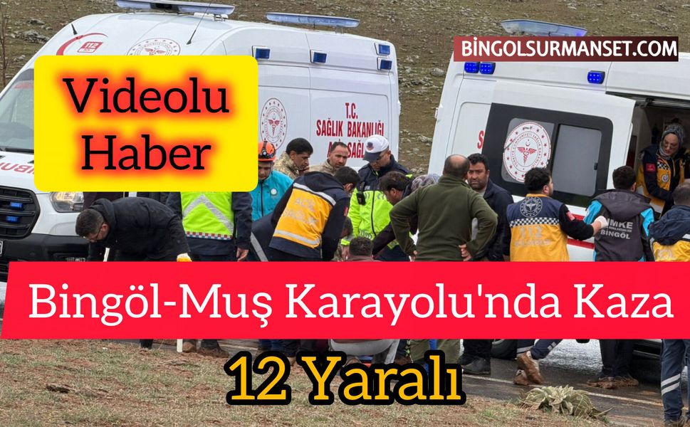 Bingöl-Muş Karayolu'nda Kaza: 12 Yaralı