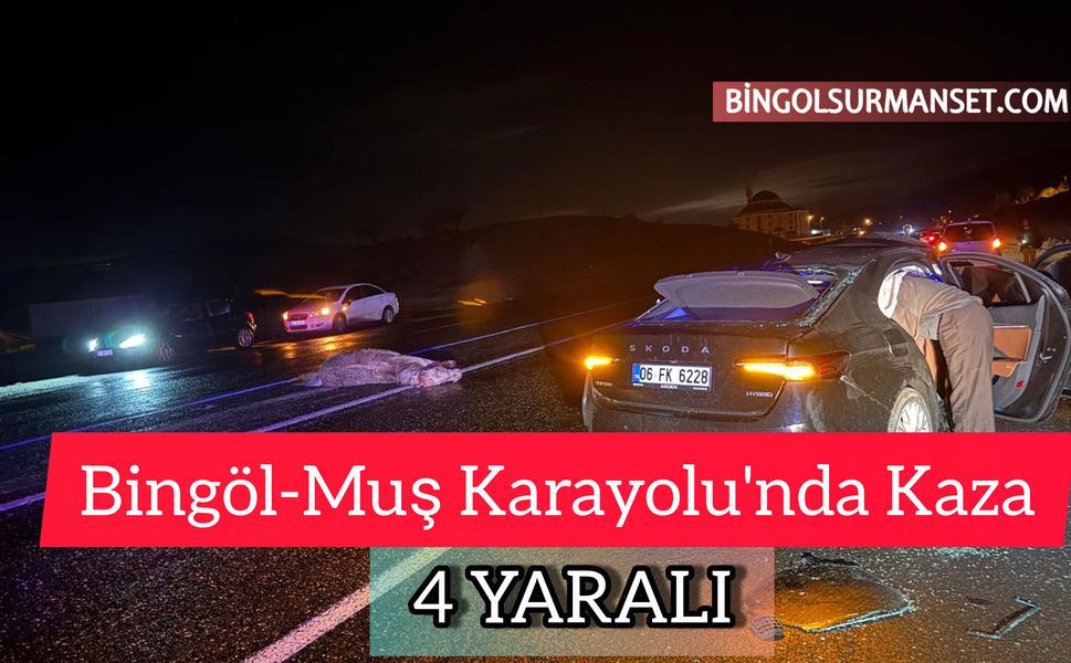 Bingöl-Muş Karayolu'nda Kaza: 4 Yaralı