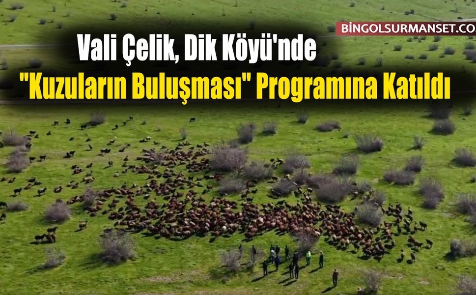 Vali Çelik, Dik Köyü'nde "Kuzuların Buluşması" Programına Katıldı