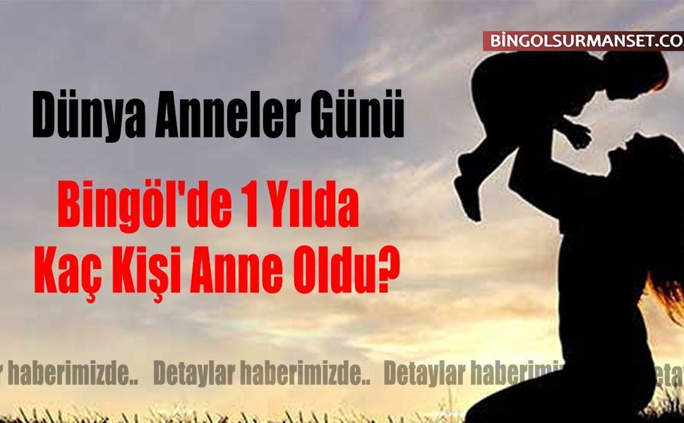 Dünya Anneler Günü: Bingöl'de 1 Yılda Kaç Kişi Anne Oldu?