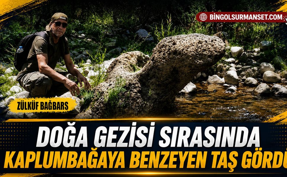 Doğa Gezisi Sırasında Kaplumbağaya Benzeyen Taş Gördü