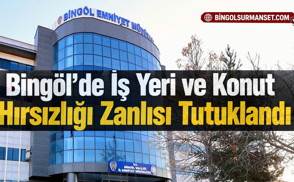 Bingöl’de İş Yeri ve Konut Hırsızlığı Zanlısı Tutuklandı