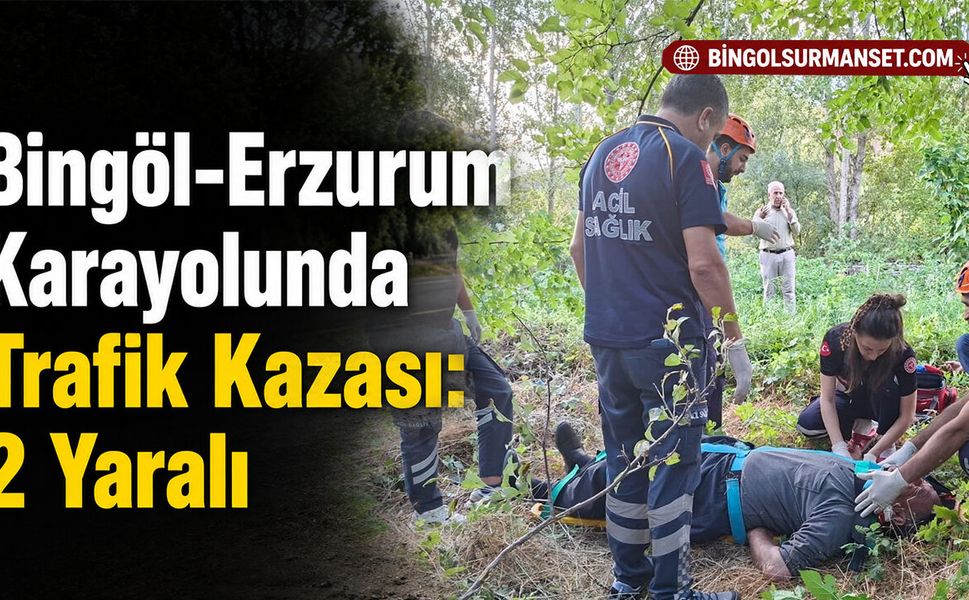Bingöl-Erzurum Karayolunda Trafik Kazası: 2 Yaralı