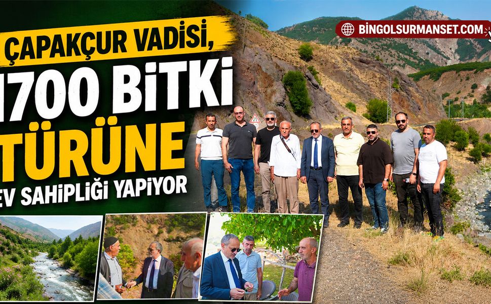Çapakçur Vadisi, 1700 Bitki Türüne Ev Sahipliği Yapıyor