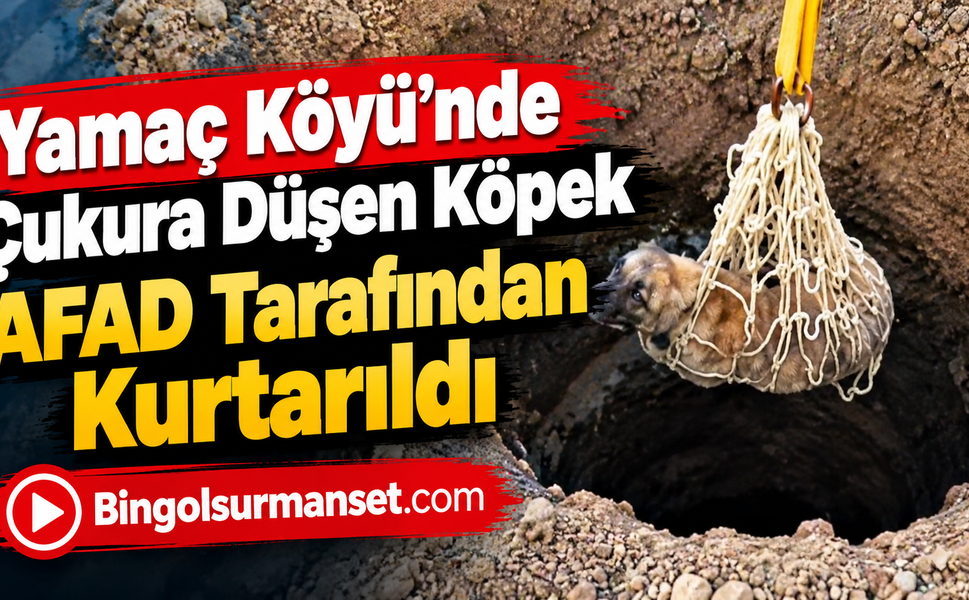 Yamaç Köyü’nde Çukura Düşen Köpek AFAD Tarafından Kurtarıldı