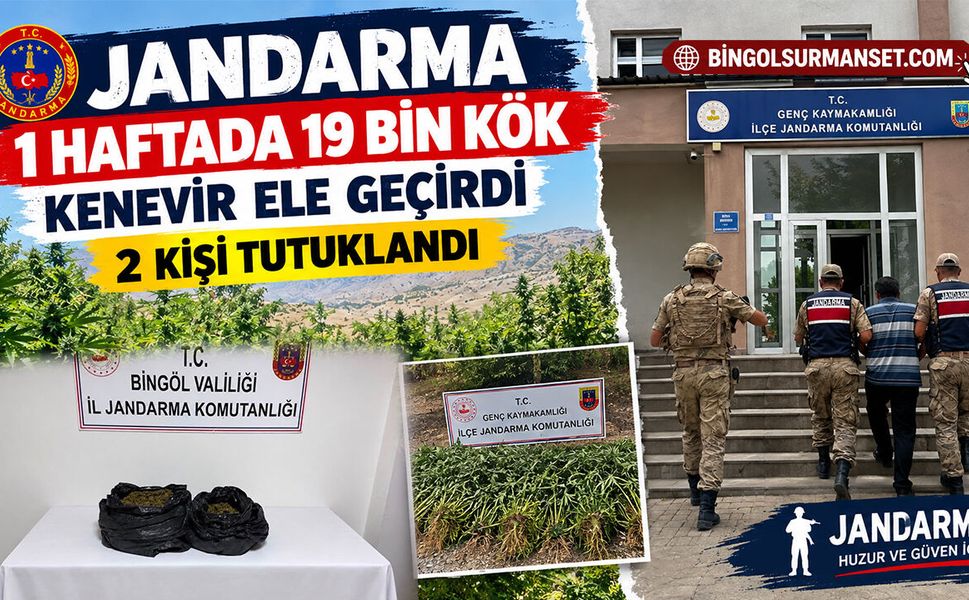 Jandarma 1 Haftada 19 Bin Kök Kenevir Ele Geçirdi, 2 Kişi Tutuklandı