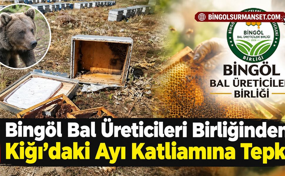 Bingöl Bal Üreticileri Birliğinden Kiğı'daki Ayı Katliamına Tepki